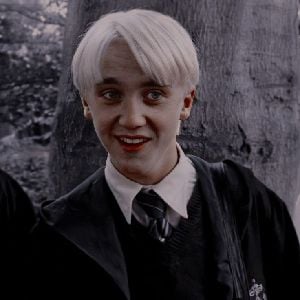 •Draco★