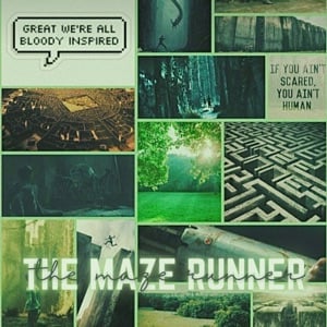 Maze runner