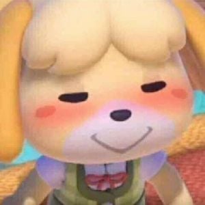 Animal Crossing Cinnamon
