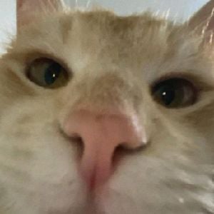 Alan