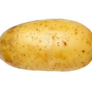 potato (WEURZ2)