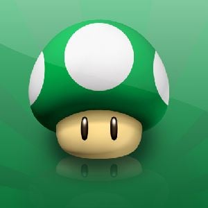 bot code