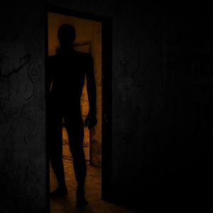 Shadow