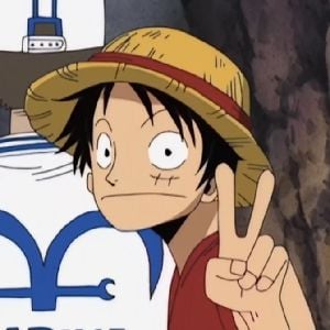 luffy drunk