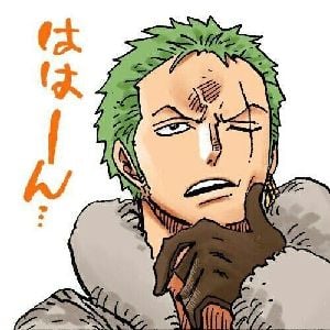 Roronoa Zoro
