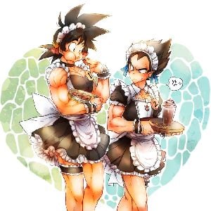 goku and vegeta (my servants)