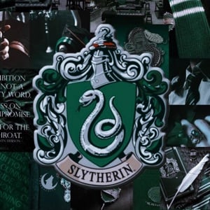 Slytherin boys