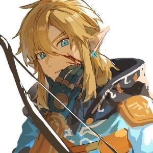 Link
