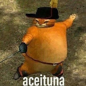 gato gordo mamon hijuesuputamadre