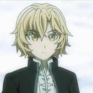 Noble Fencer