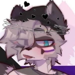 ☆Rashy The Racoon☆