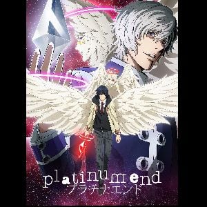 Platinum end!