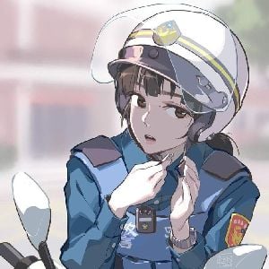 Mary (traffic officer)