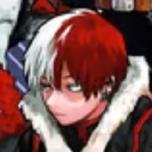 Shota Todoroki