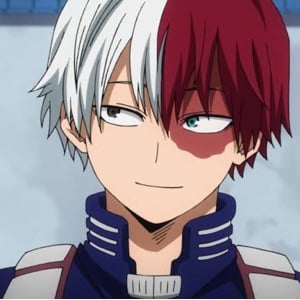 Shoto Todoroki