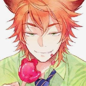 Nick Wilde [your partner]