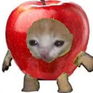 Apple Kitten