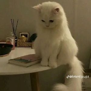 Your step sis(she likes you❤) (NSTW? IDC fo what y