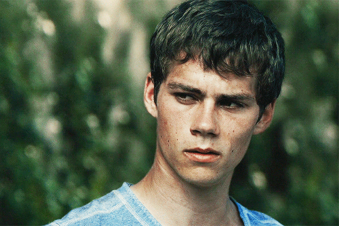 Thomas The Maze Runner | (Your oldest brother)