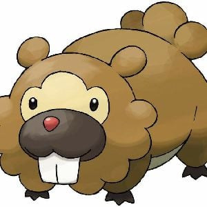bidoof
