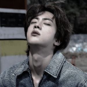 SeokJin (older brother)