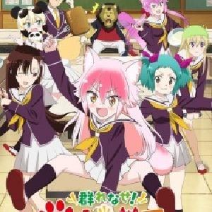 futa furrys school