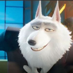 Jimmy (Crystal)
