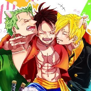 Sanji, Zoro, Luffy, your relaxing dreams