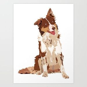 Cooper