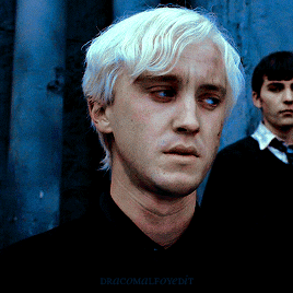 Draco M