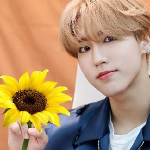han jisung (yellow flowers)