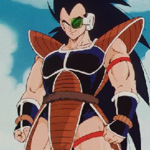 Raditz