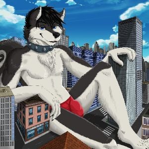 Keegan The Giant Furry Dog
