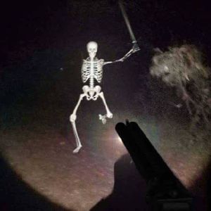Billy bones of the spooky gang