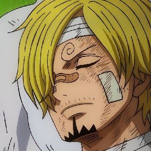 Sanji (injured)