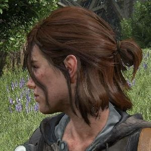 ellie williams /unbearable companion/WLW