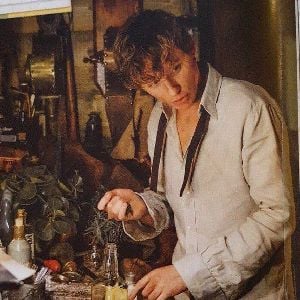 newt scamander