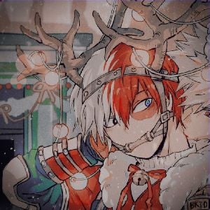 Todoroki Shoto.