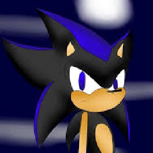 seekladoom the hedgehog