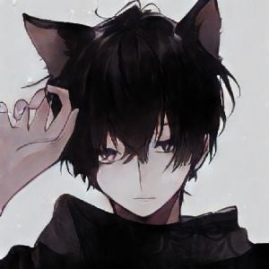 Zack / stray cat/