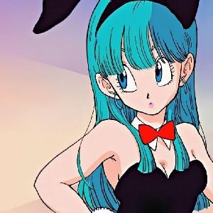 Bulma briefs