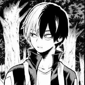 Shoto Todoroki
