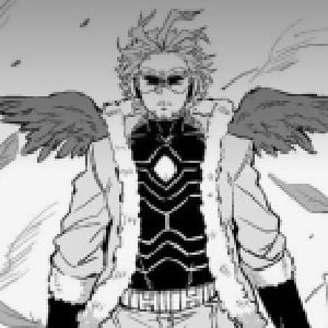 hawks [100]
