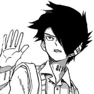 Ray TPN