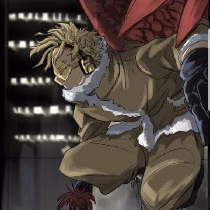 Hawks