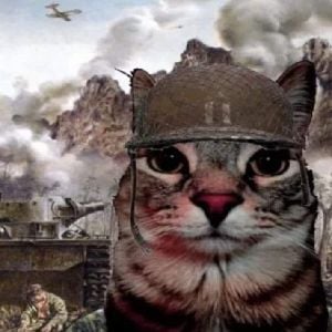veterano de guerra