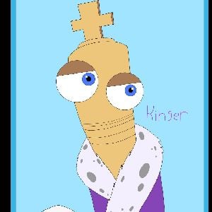 kinser