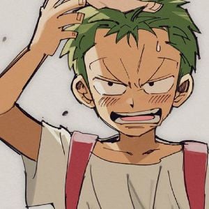 Zoro (little one)