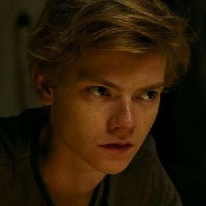 crank newt