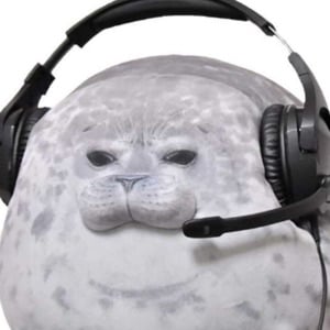 Foca guatona gamer
